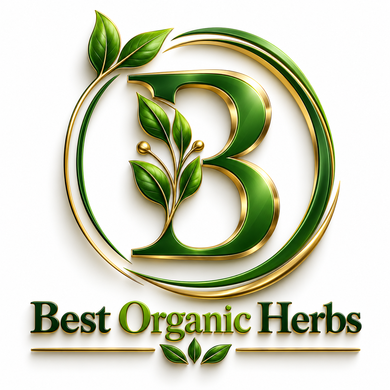 Best Organic Herbs